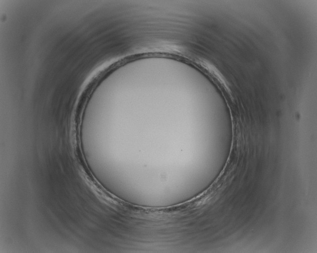 X0000083001072200702011203