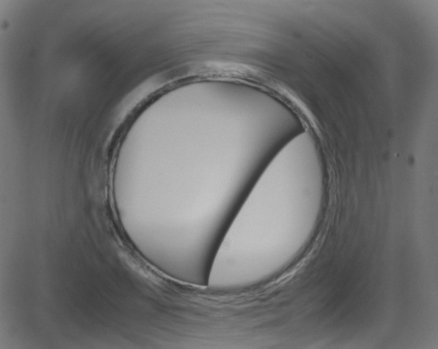 X0000083001075200702011203