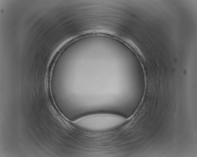 X0000083001076200702011203