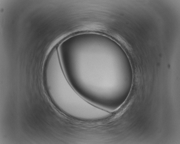 X0000083001077200702011203