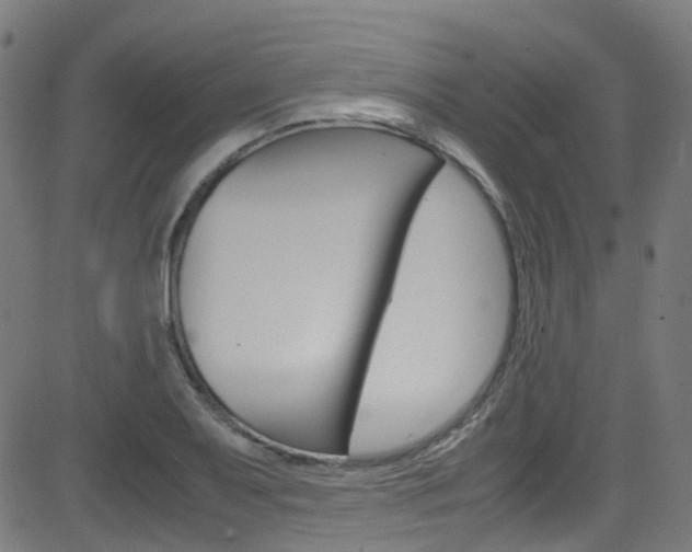 X0000083001079200702011203