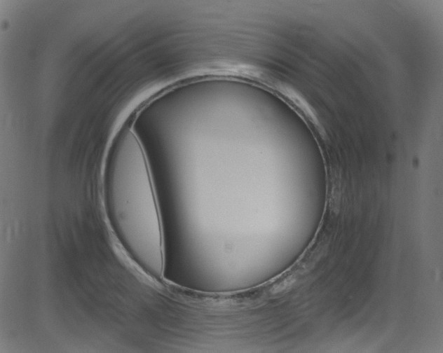 X0000083001080200702011203
