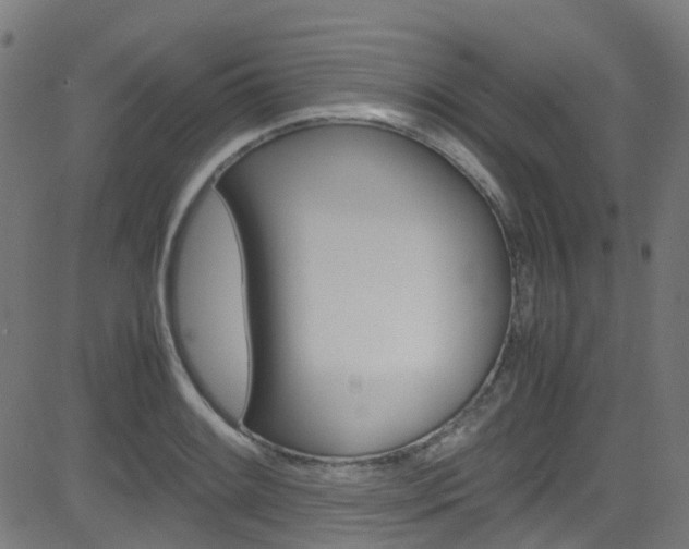 X0000083001084200702011203