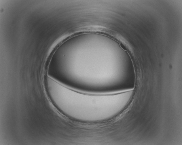 X0000083001085200702011203