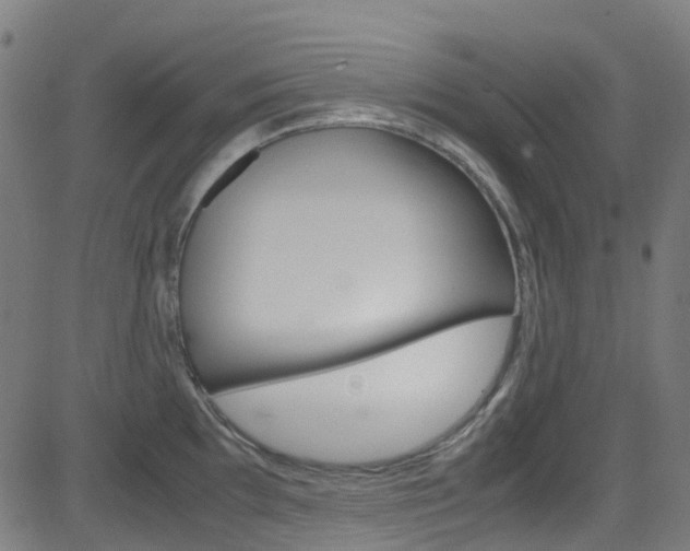 X0000083001097200702011203