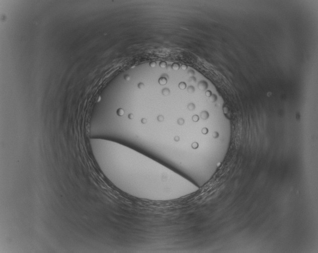X0000083001105200702011202