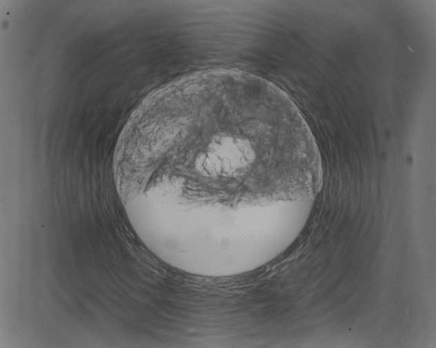X0000083001106200702011202