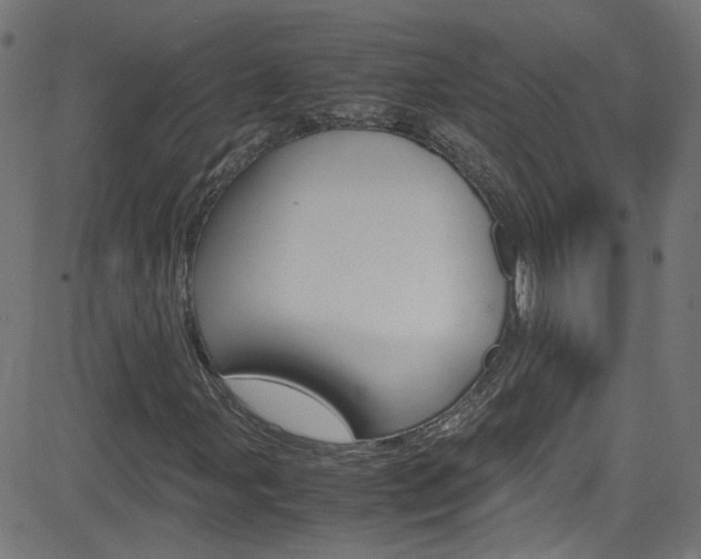 X0000083001107200702011202