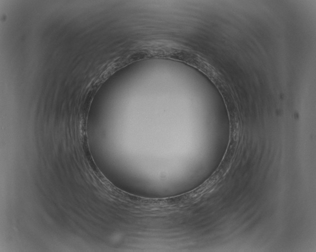 X0000083001108200702011202