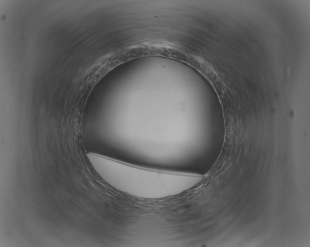 X0000083001110200702011202