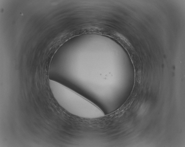 X0000083001111200702011202