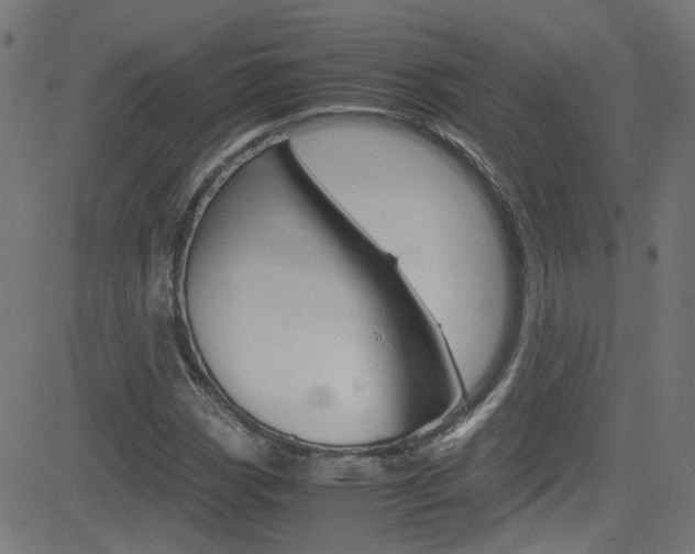 X0000083001113200702011202