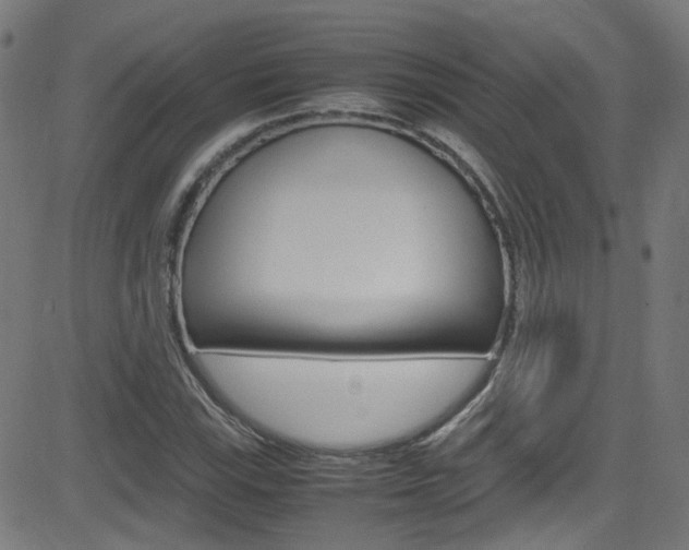 X0000083001115200702011202