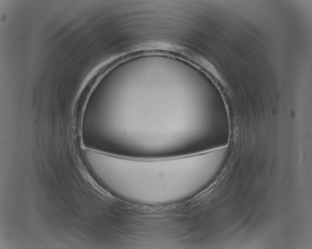 X0000083001116200702011202