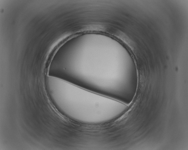 X0000083001119200702011202