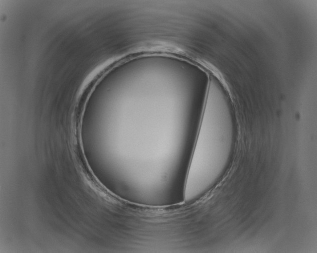 X0000083001120200702011202