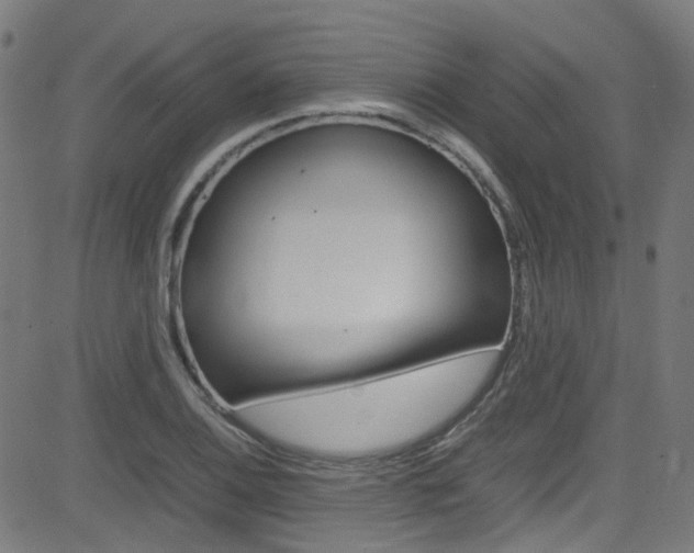 X0000083001124200702011202