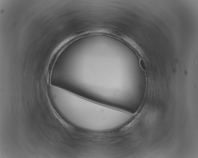 X0000083001127200702011202