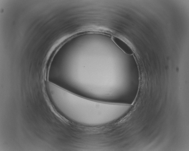 X0000083001128200702011202