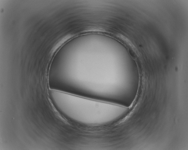X0000083001129200702011202