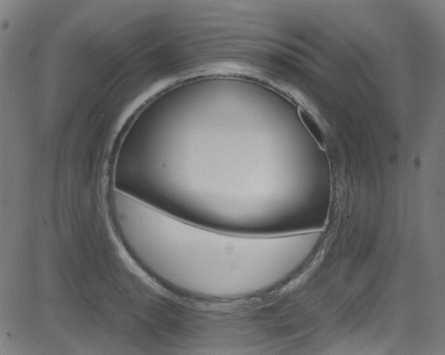 X0000083001134200702011202