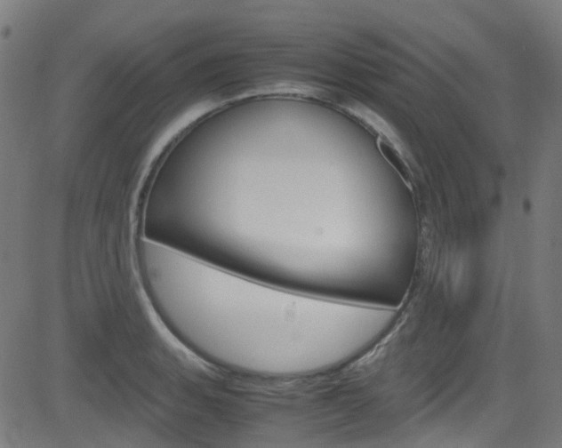 X0000083001135200702011202