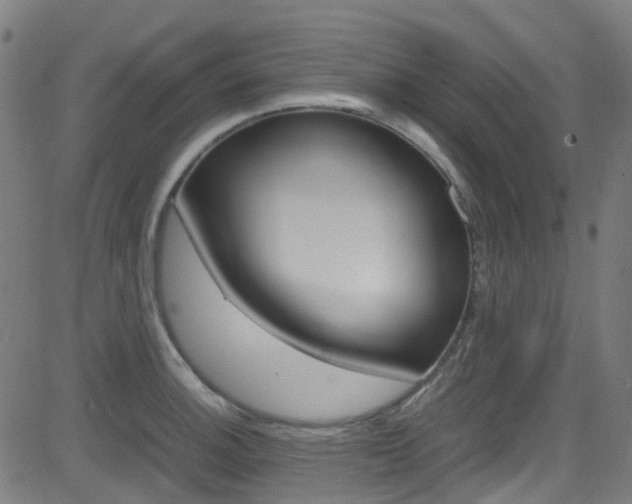 X0000083001140200702011203