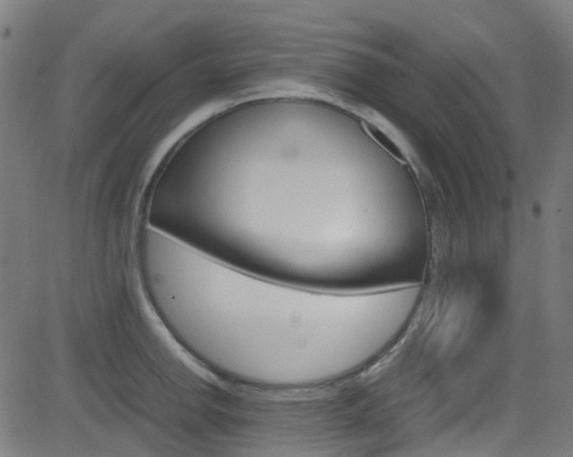 X0000083001142200702011203