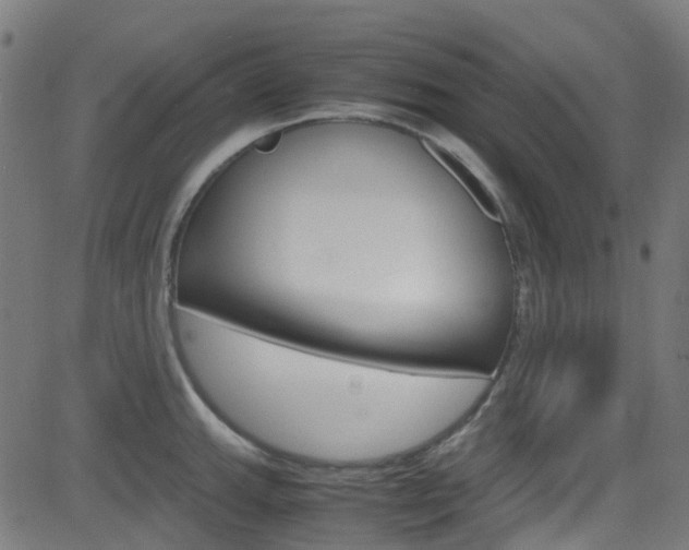 X0000083001143200702011203