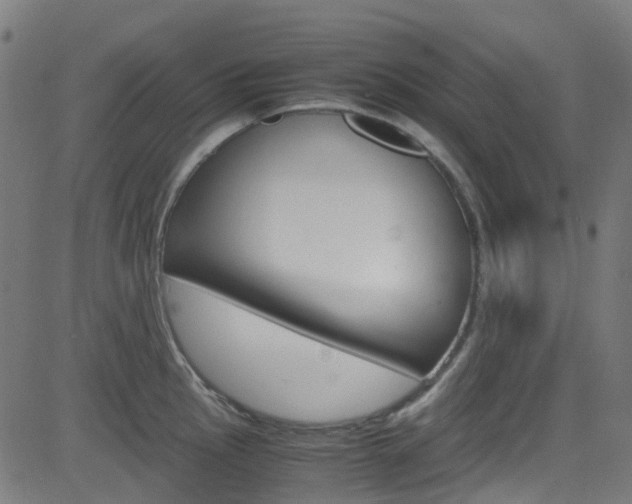 X0000083001145200702011203