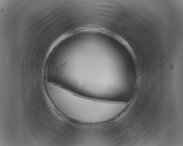 X0000083001146200702011203