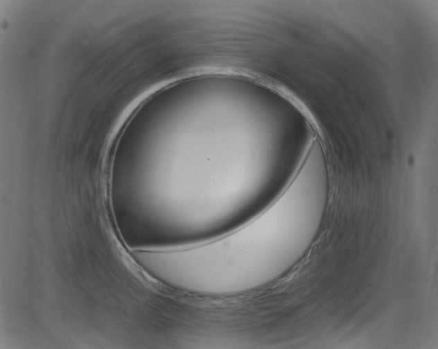 X0000083001148200702011203