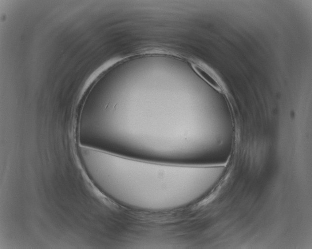 X0000083001149200702011203