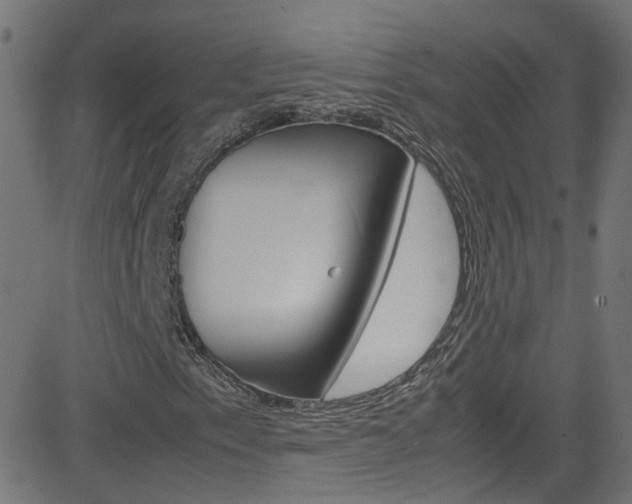 X0000083001153200702011202