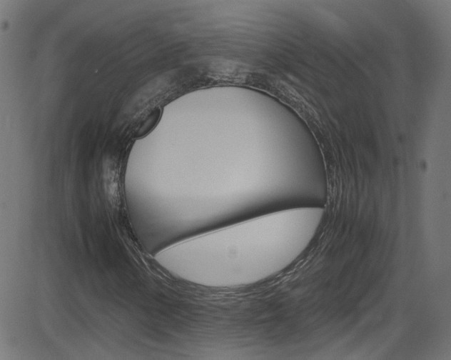 X0000083001154200702011202