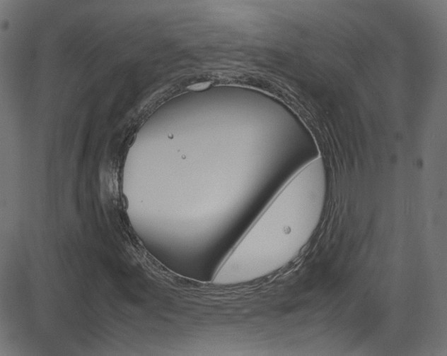 X0000083001155200702011202