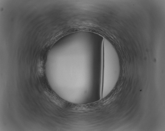 X0000083001156200702011202