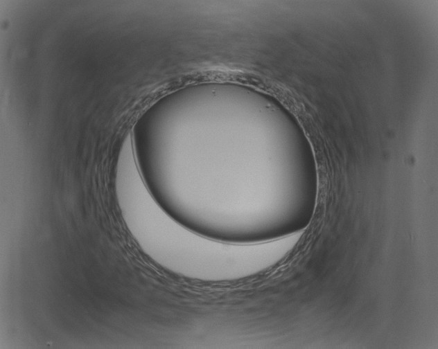 X0000083001157200702011202