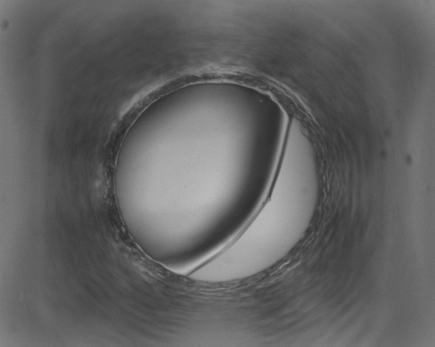 X0000083001160200702011202