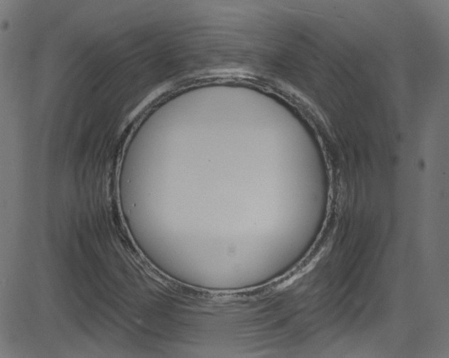 X0000083001162200702011202