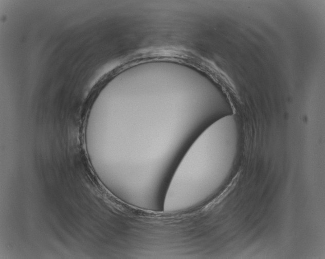 X0000083001166200702011202