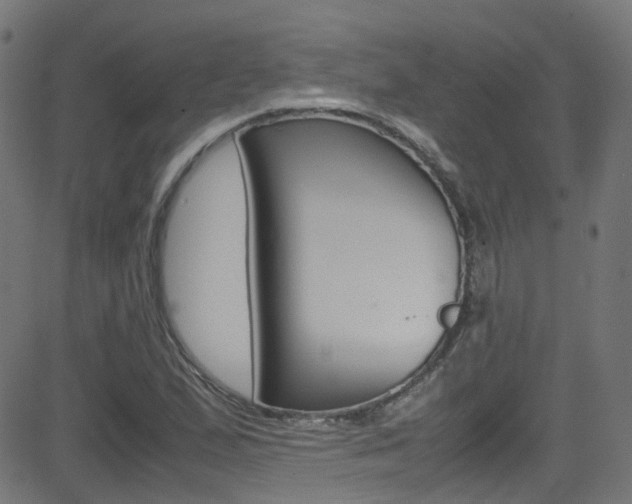 X0000083001167200702011202