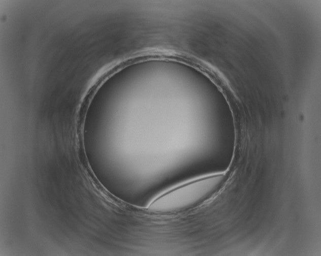 X0000083001168200702011202