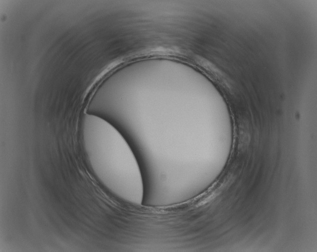 X0000083001170200702011202