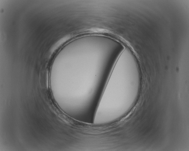 X0000083001171200702011202
