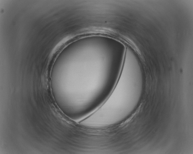 X0000083001172200702011202