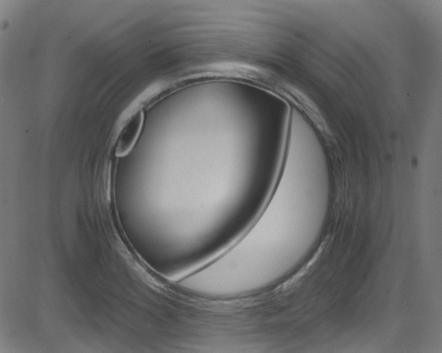 X0000083001180200702011202
