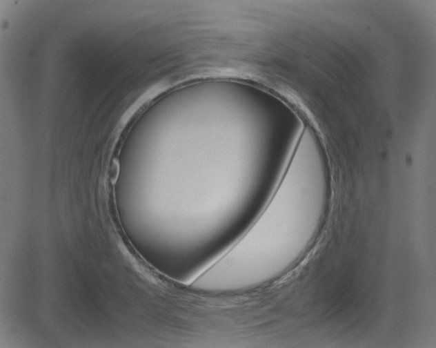 X0000083001181200702011202
