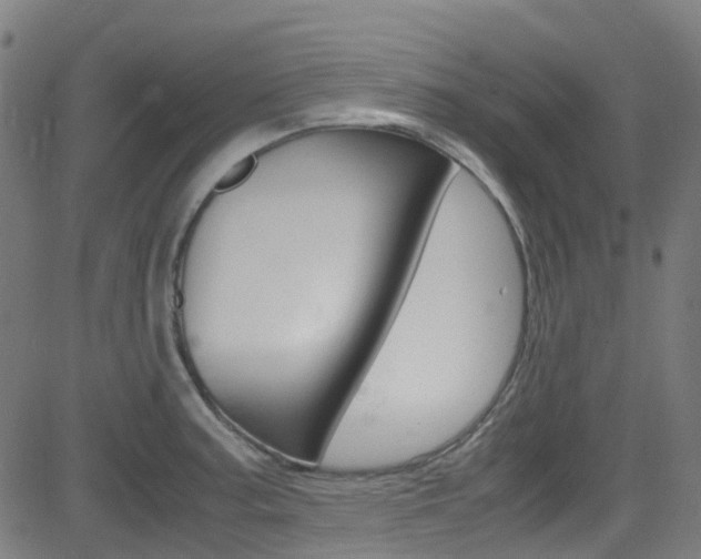 X0000083001187200702011201