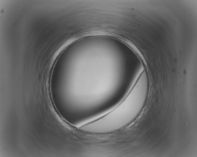 X0000083001197200702011201